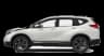 SUV/Mini Van